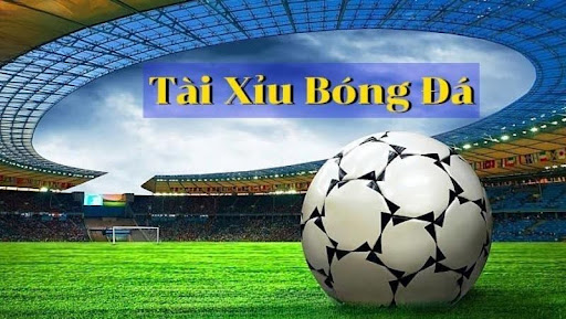 Tham khảo và lựa chọn trận đấu World Cup thích hợp